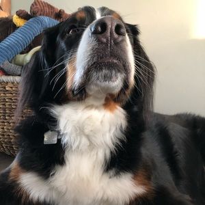 Meet your Posher, Christine